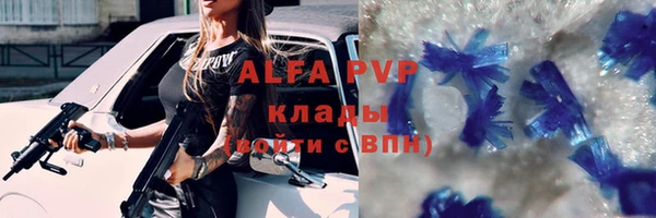 СК Волосово