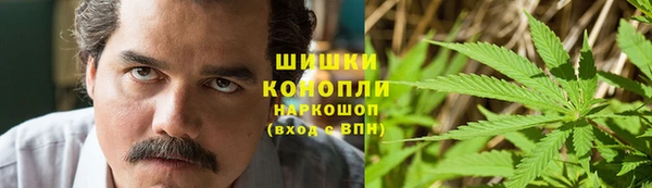 СК Волосово