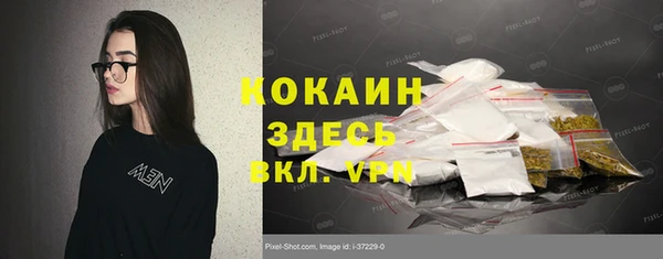 СК Волосово