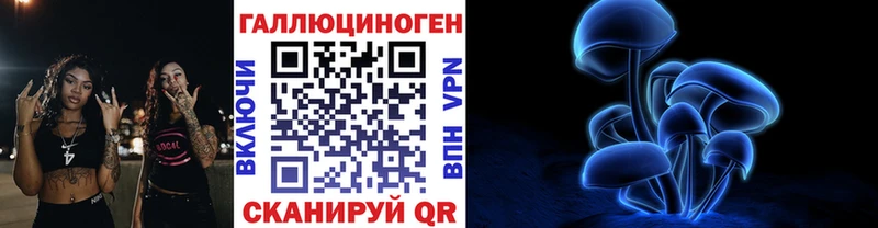 Псилоцибиновые грибы Cubensis  Купить где  Новоалександровск 